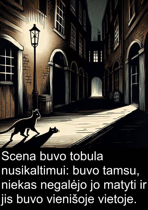 tamsu: Scena buvo tobula nusikaltimui: buvo tamsu, niekas negalėjo jo matyti ir jis buvo vienišoje vietoje.