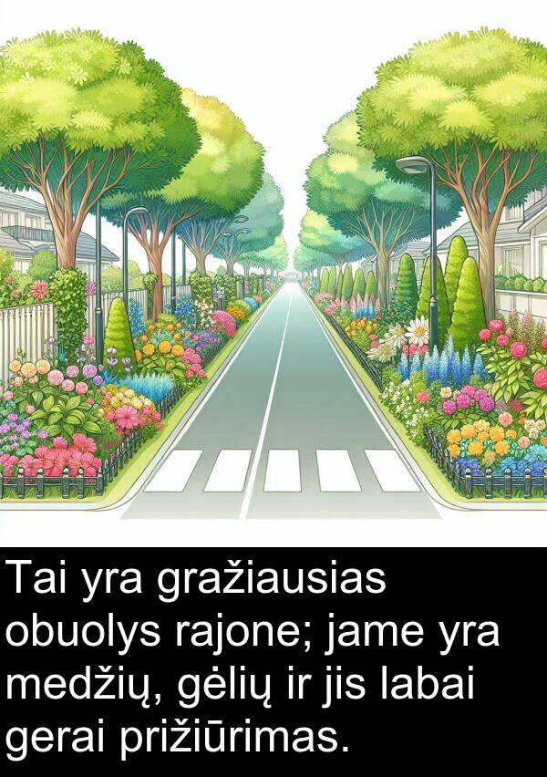 rajone: Tai yra gražiausias obuolys rajone; jame yra medžių, gėlių ir jis labai gerai prižiūrimas.