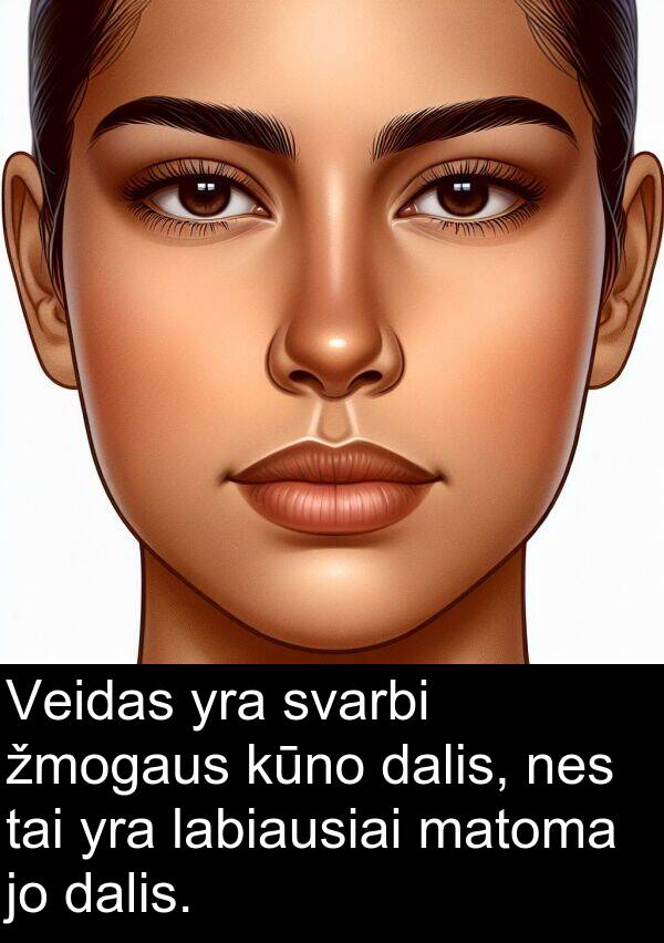 labiausiai: Veidas yra svarbi žmogaus kūno dalis, nes tai yra labiausiai matoma jo dalis.