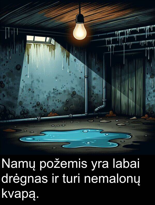 drėgnas: Namų požemis yra labai drėgnas ir turi nemalonų kvapą.
