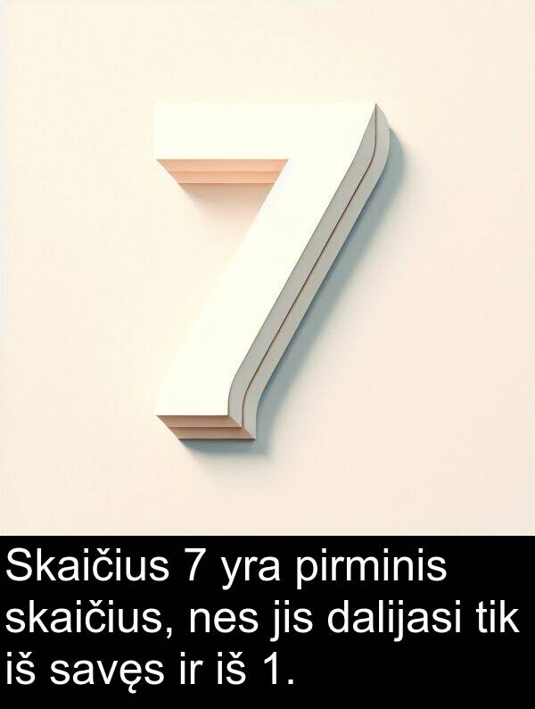 dalijasi: Skaičius 7 yra pirminis skaičius, nes jis dalijasi tik iš savęs ir iš 1.