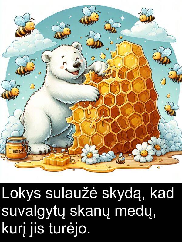 turėjo: Lokys sulaužė skydą, kad suvalgytų skanų medų, kurį jis turėjo.