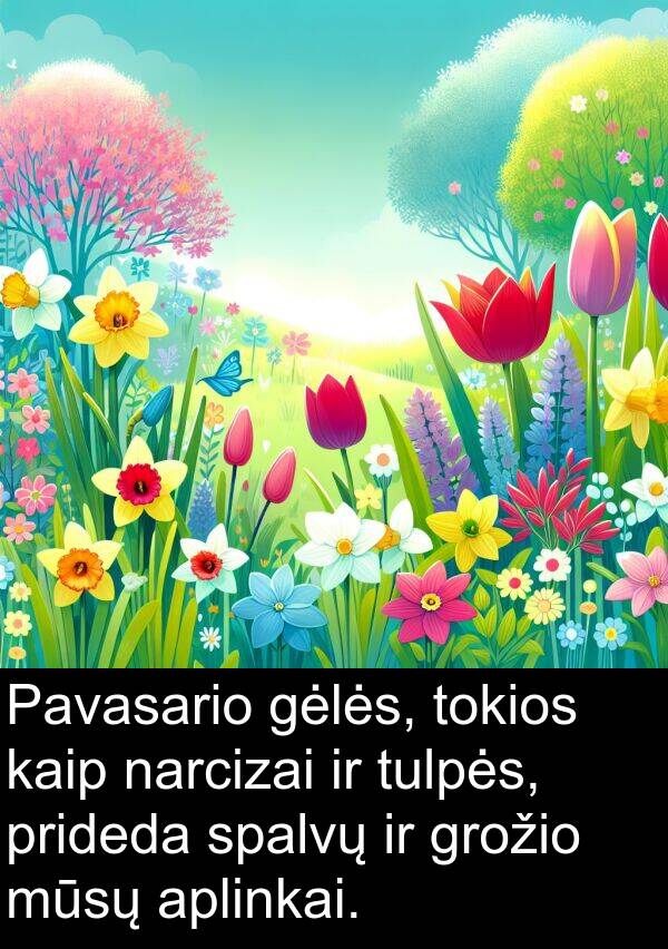 narcizai: Pavasario gėlės, tokios kaip narcizai ir tulpės, prideda spalvų ir grožio mūsų aplinkai.