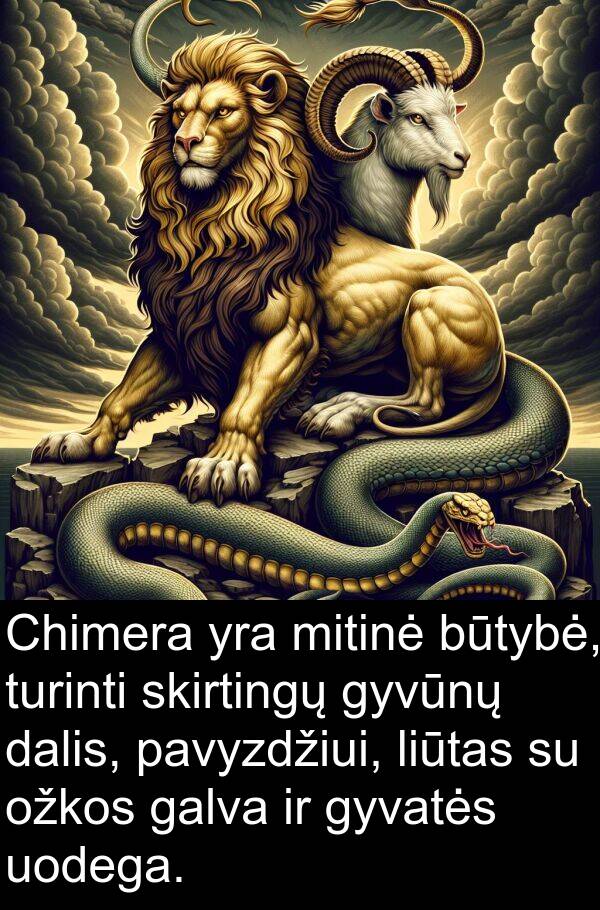 dalis: Chimera yra mitinė būtybė, turinti skirtingų gyvūnų dalis, pavyzdžiui, liūtas su ožkos galva ir gyvatės uodega.