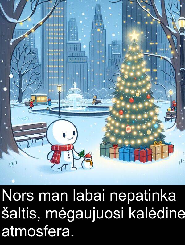 šaltis: Nors man labai nepatinka šaltis, mėgaujuosi kalėdine atmosfera.