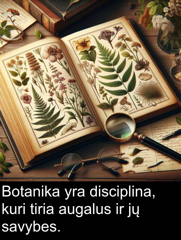 savybes: Botanika yra disciplina, kuri tiria augalus ir jų savybes.