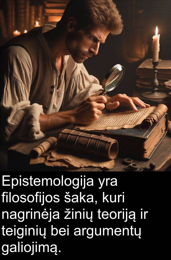 filosofijos: Epistemologija yra filosofijos šaka, kuri nagrinėja žinių teoriją ir teiginių bei argumentų galiojimą.