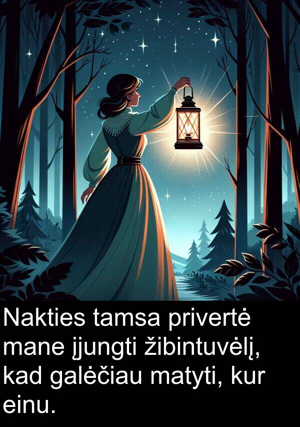 einu: Nakties tamsa privertė mane įjungti žibintuvėlį, kad galėčiau matyti, kur einu.