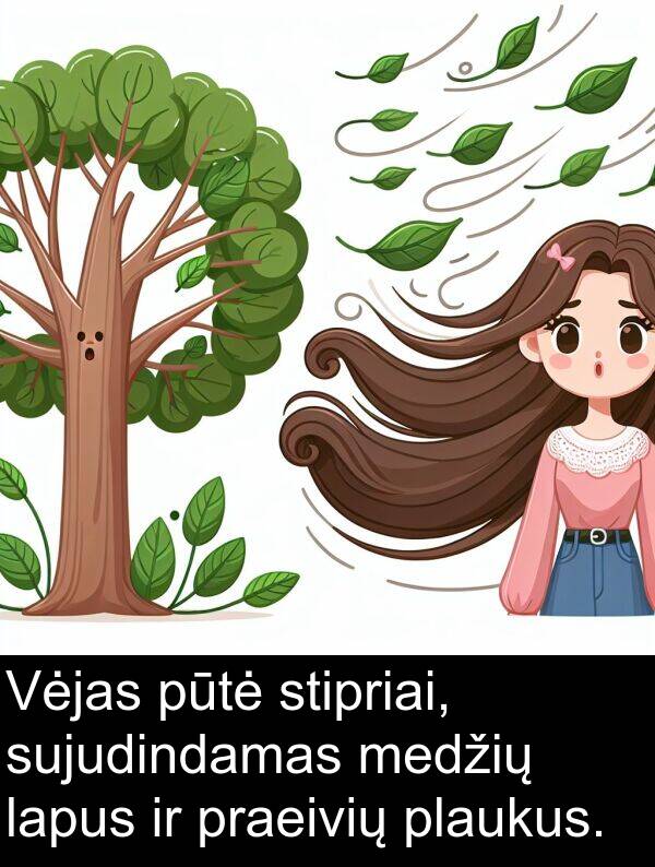 plaukus: Vėjas pūtė stipriai, sujudindamas medžių lapus ir praeivių plaukus.