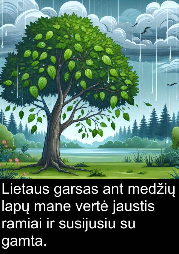 ramiai: Lietaus garsas ant medžių lapų mane vertė jaustis ramiai ir susijusiu su gamta.