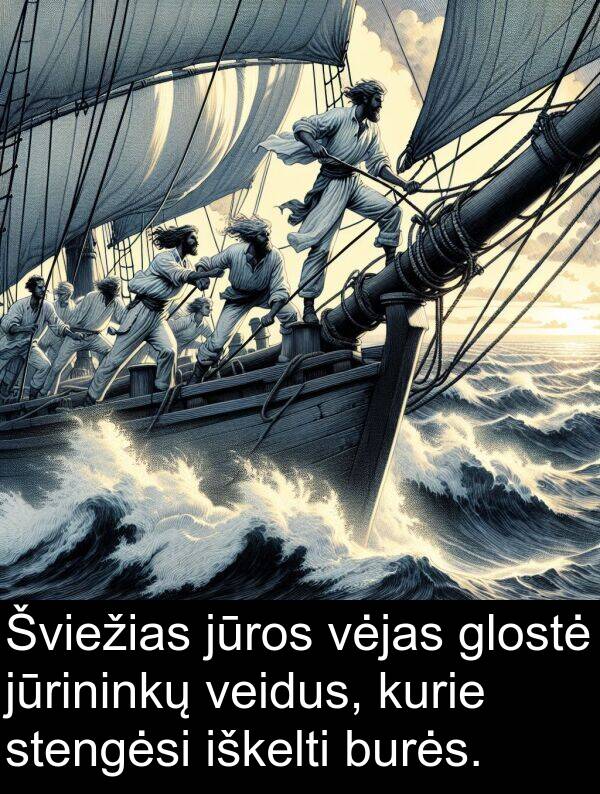iškelti: Šviežias jūros vėjas glostė jūrininkų veidus, kurie stengėsi iškelti burės.