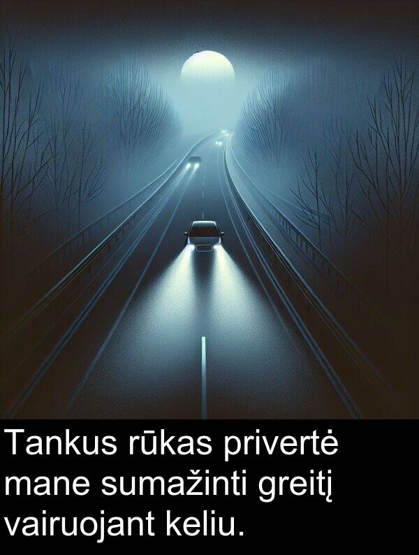 vairuojant: Tankus rūkas privertė mane sumažinti greitį vairuojant keliu.