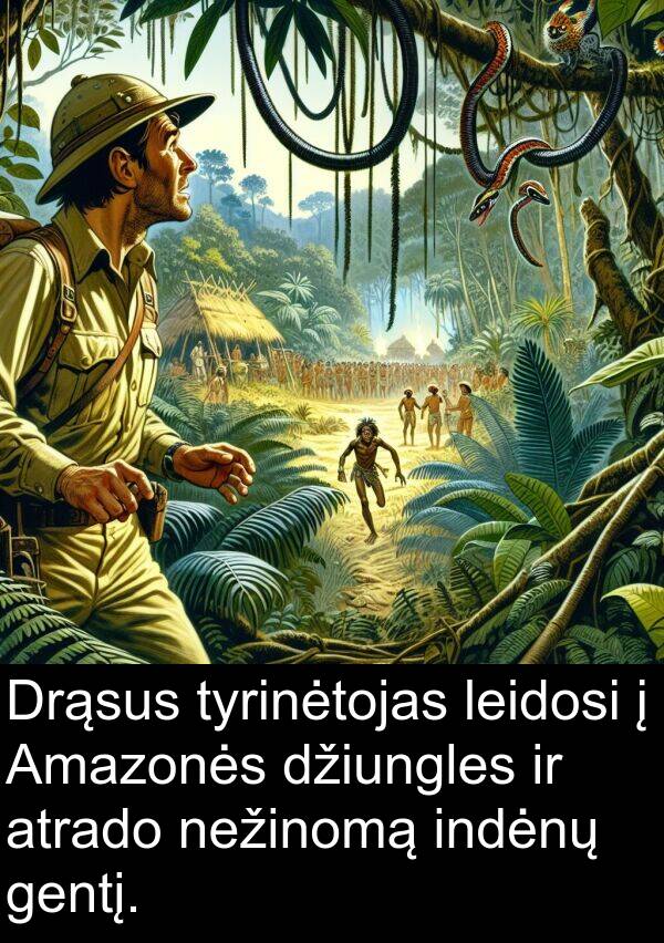 tyrinėtojas: Drąsus tyrinėtojas leidosi į Amazonės džiungles ir atrado nežinomą indėnų gentį.