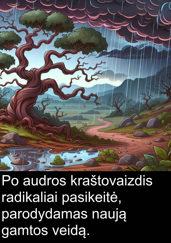 radikaliai: Po audros kraštovaizdis radikaliai pasikeitė, parodydamas naują gamtos veidą.