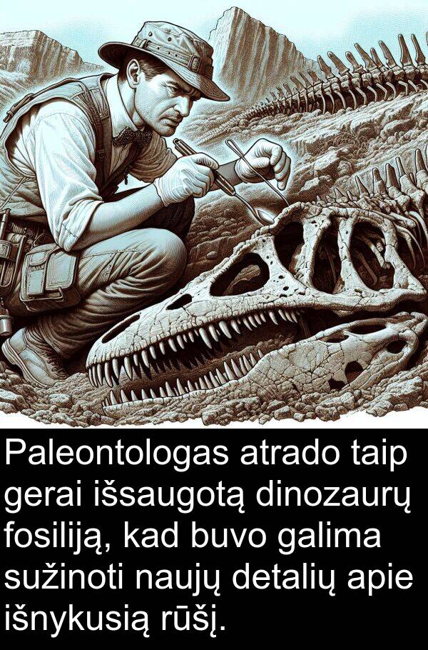 galima: Paleontologas atrado taip gerai išsaugotą dinozaurų fosiliją, kad buvo galima sužinoti naujų detalių apie išnykusią rūšį.