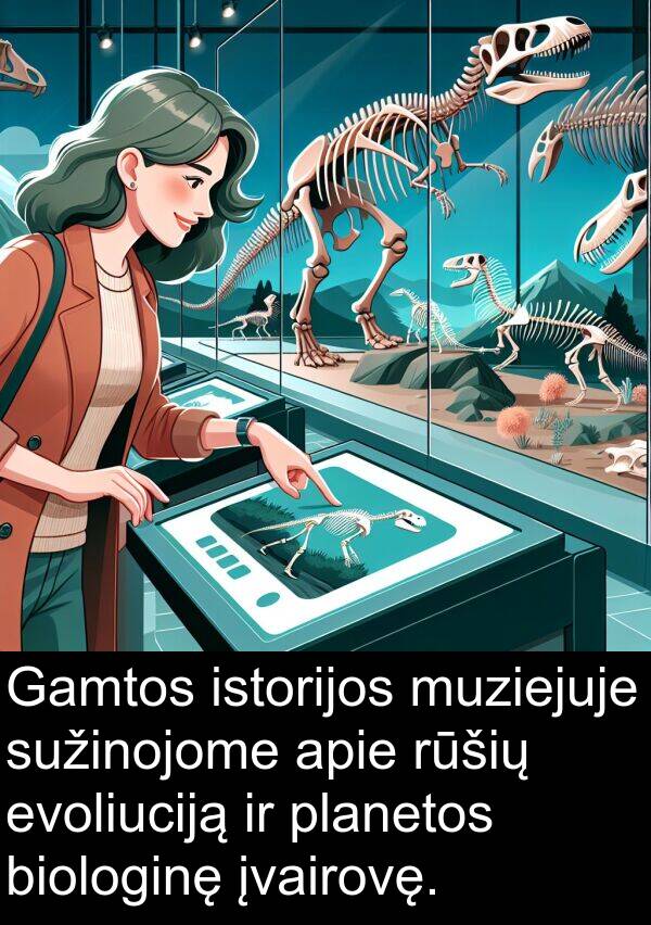 evoliuciją: Gamtos istorijos muziejuje sužinojome apie rūšių evoliuciją ir planetos biologinę įvairovę.