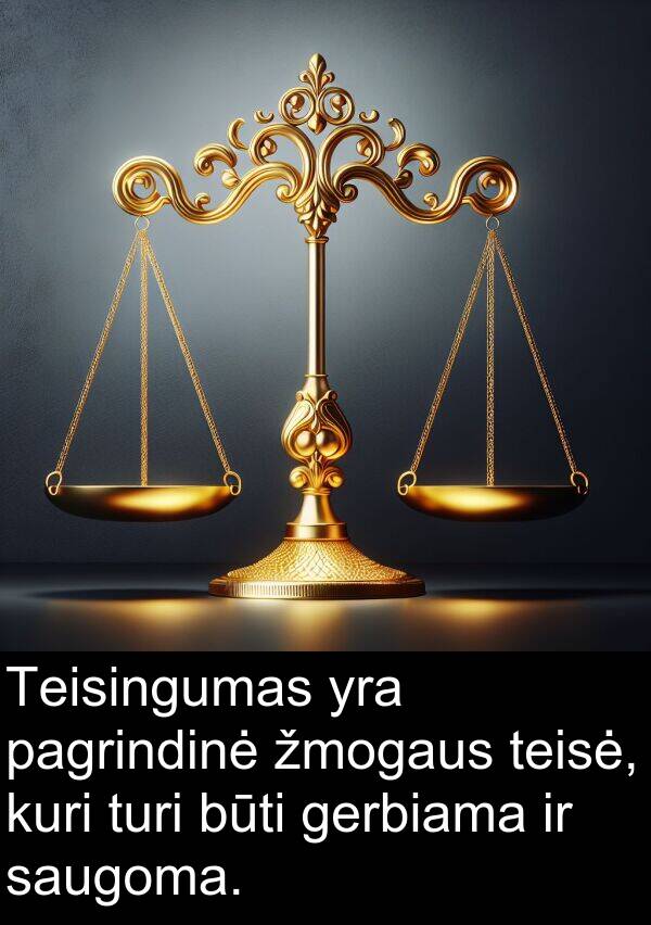 gerbiama: Teisingumas yra pagrindinė žmogaus teisė, kuri turi būti gerbiama ir saugoma.