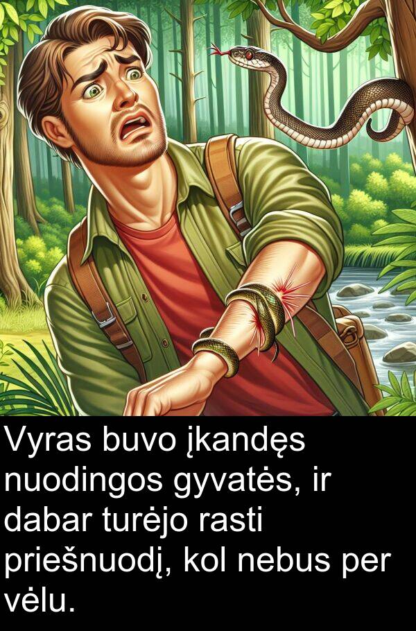 dabar: Vyras buvo įkandęs nuodingos gyvatės, ir dabar turėjo rasti priešnuodį, kol nebus per vėlu.