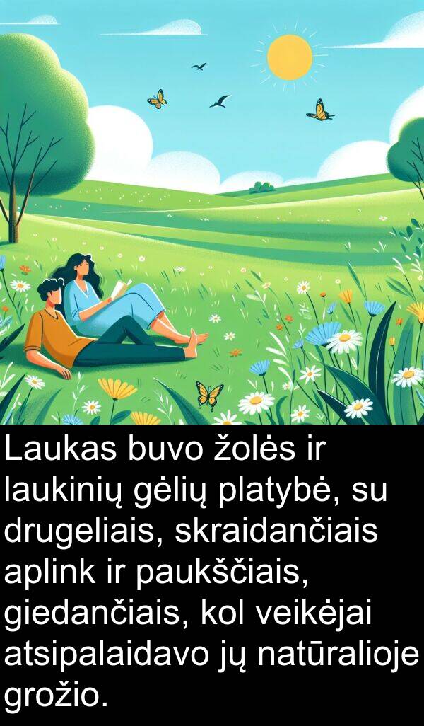 platybė: Laukas buvo žolės ir laukinių gėlių platybė, su drugeliais, skraidančiais aplink ir paukščiais, giedančiais, kol veikėjai atsipalaidavo jų natūralioje grožio.