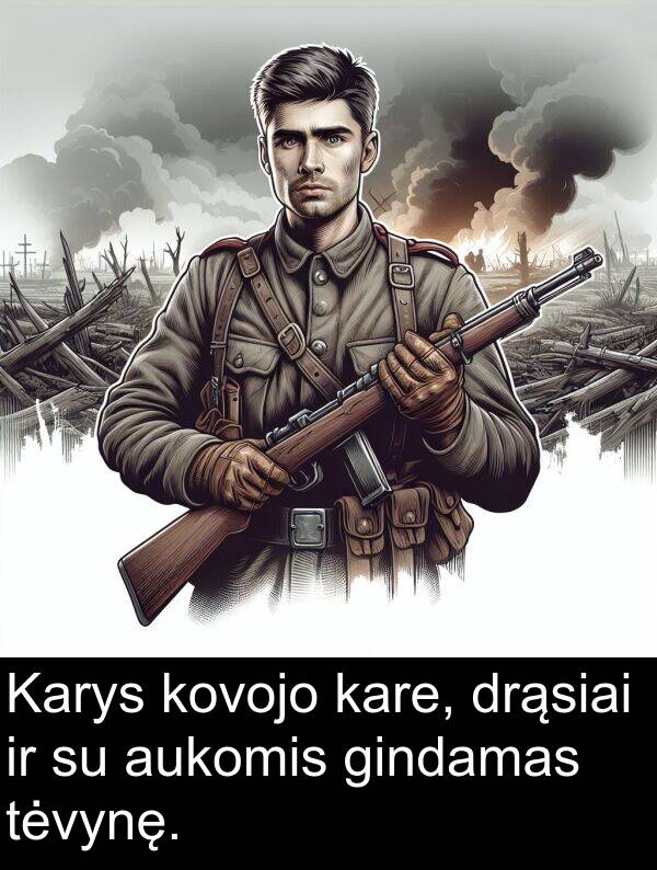 drąsiai: Karys kovojo kare, drąsiai ir su aukomis gindamas tėvynę.