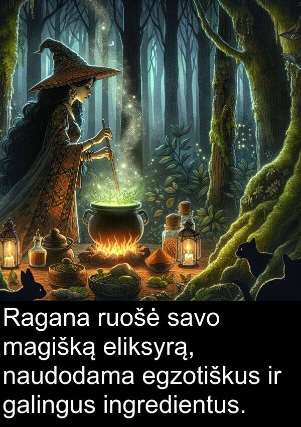 ingredientus: Ragana ruošė savo magišką eliksyrą, naudodama egzotiškus ir galingus ingredientus.