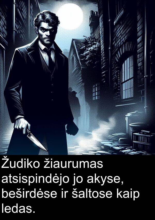 žiaurumas: Žudiko žiaurumas atsispindėjo jo akyse, beširdėse ir šaltose kaip ledas.