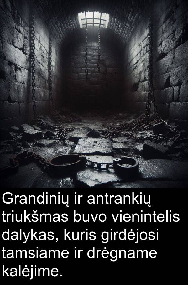 dalykas: Grandinių ir antrankių triukšmas buvo vienintelis dalykas, kuris girdėjosi tamsiame ir drėgname kalėjime.