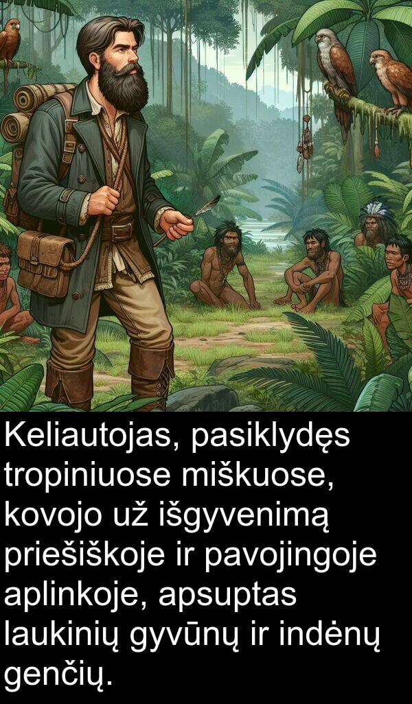priešiškoje: Keliautojas, pasiklydęs tropiniuose miškuose, kovojo už išgyvenimą priešiškoje ir pavojingoje aplinkoje, apsuptas laukinių gyvūnų ir indėnų genčių.