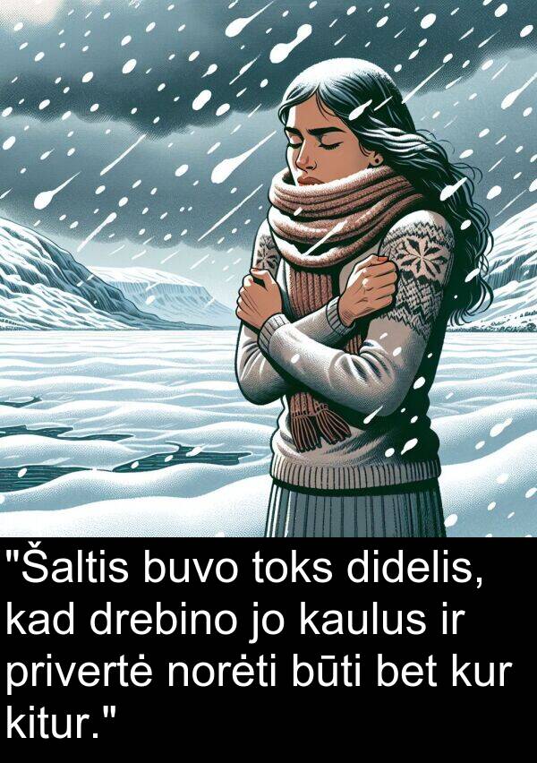 privertė: "Šaltis buvo toks didelis, kad drebino jo kaulus ir privertė norėti būti bet kur kitur."