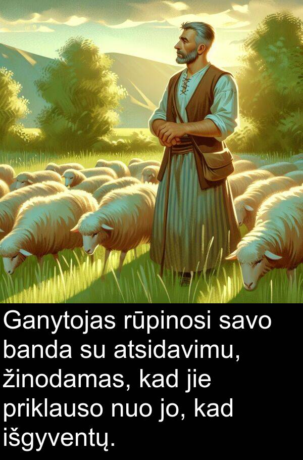 banda: Ganytojas rūpinosi savo banda su atsidavimu, žinodamas, kad jie priklauso nuo jo, kad išgyventų.
