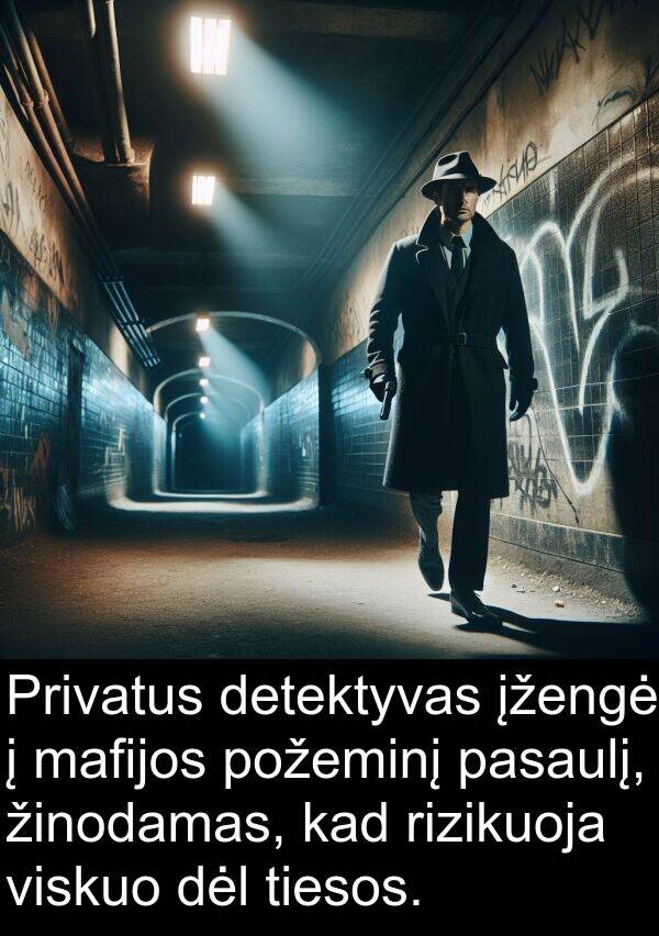 mafijos: Privatus detektyvas įžengė į mafijos požeminį pasaulį, žinodamas, kad rizikuoja viskuo dėl tiesos.