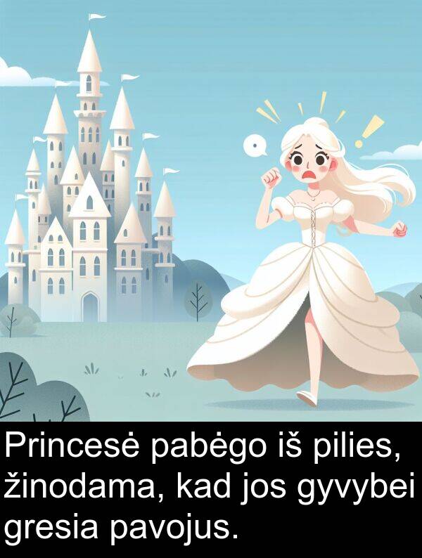 pabėgo: Princesė pabėgo iš pilies, žinodama, kad jos gyvybei gresia pavojus.
