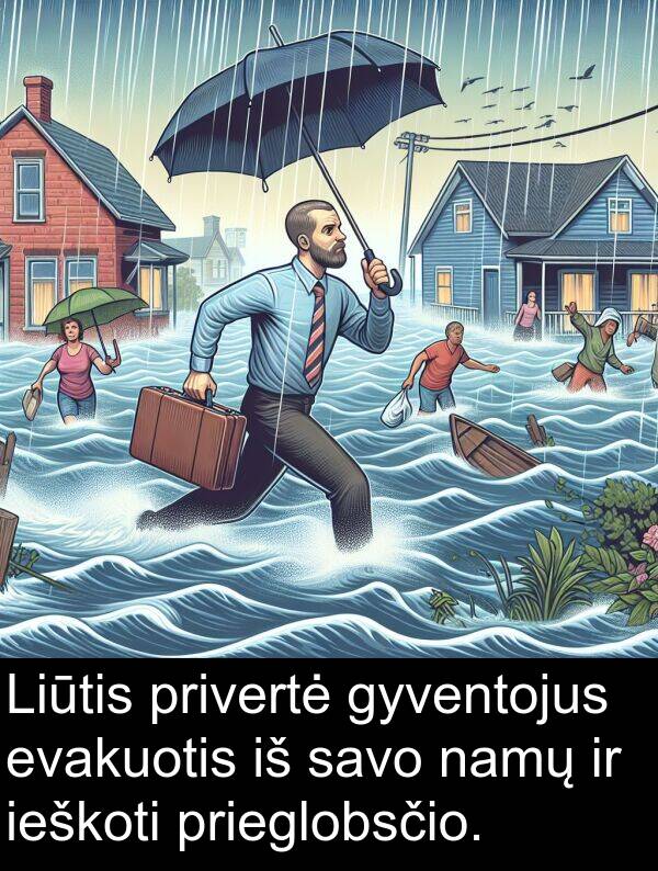 namų: Liūtis privertė gyventojus evakuotis iš savo namų ir ieškoti prieglobsčio.