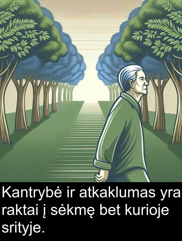 raktai: Kantrybė ir atkaklumas yra raktai į sėkmę bet kurioje srityje.