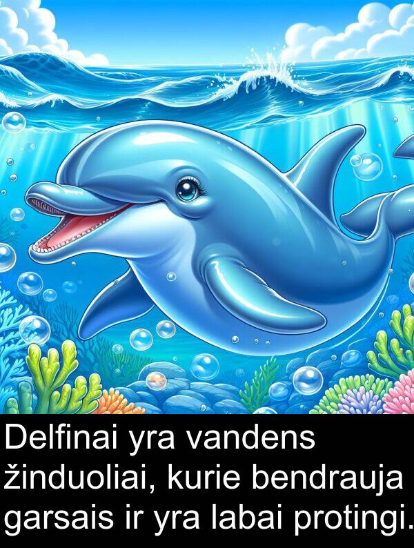 vandens: Delfinai yra vandens žinduoliai, kurie bendrauja garsais ir yra labai protingi.