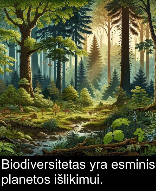 esminis: Biodiversitetas yra esminis planetos išlikimui.