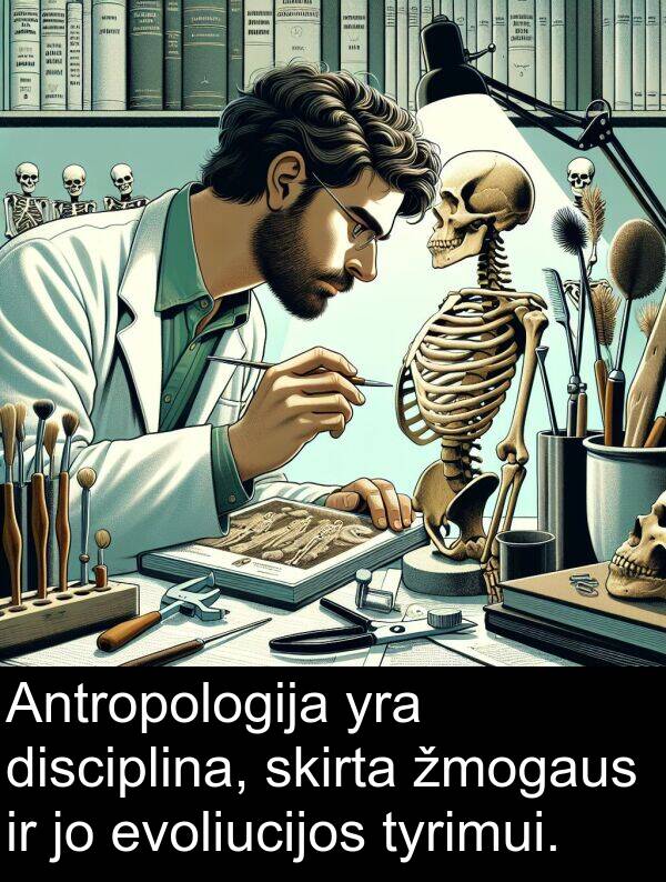 evoliucijos: Antropologija yra disciplina, skirta žmogaus ir jo evoliucijos tyrimui.