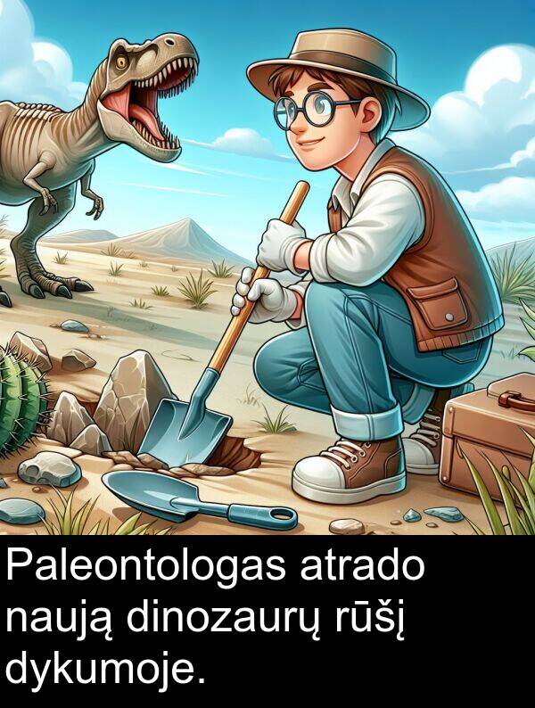 naują: Paleontologas atrado naują dinozaurų rūšį dykumoje.