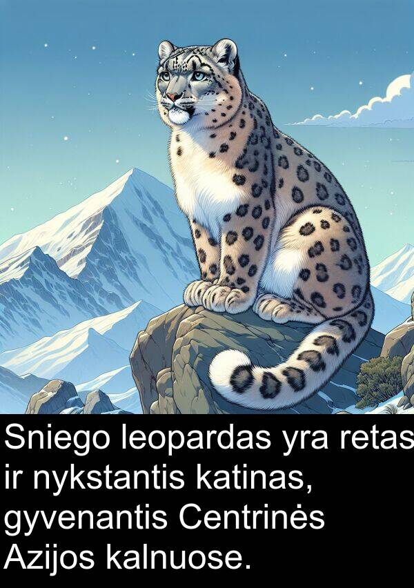 kalnuose: Sniego leopardas yra retas ir nykstantis katinas, gyvenantis Centrinės Azijos kalnuose.