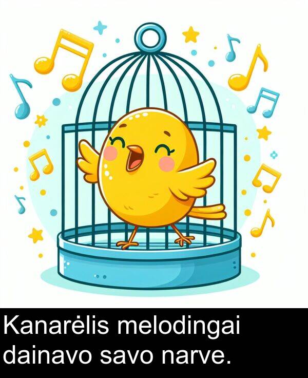 narve: Kanarėlis melodingai dainavo savo narve.