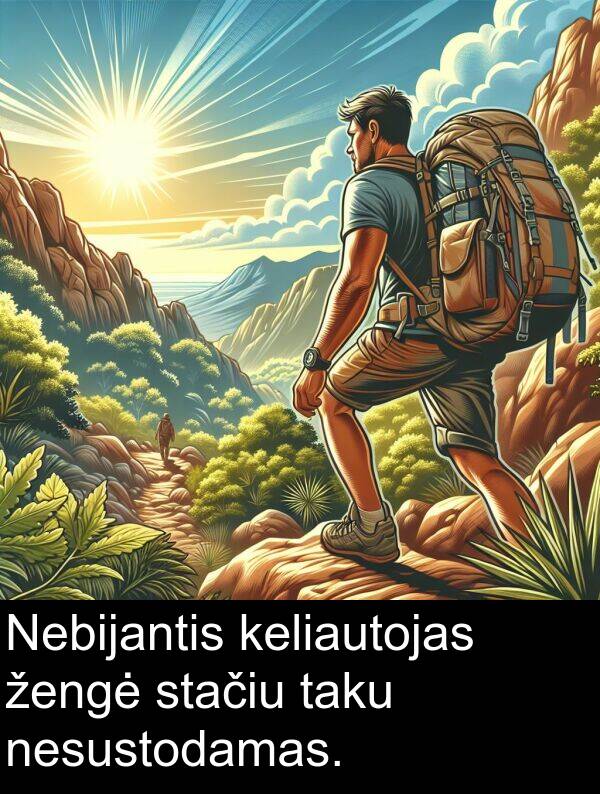 taku: Nebijantis keliautojas žengė stačiu taku nesustodamas.
