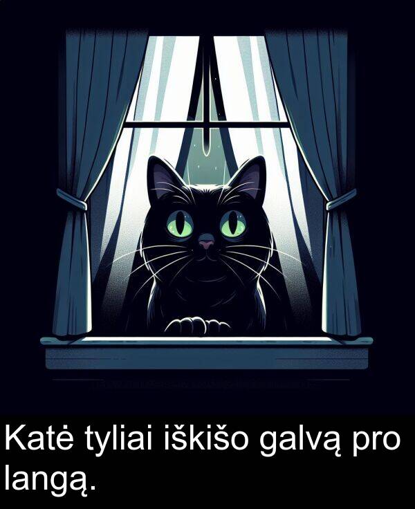 galvą: Katė tyliai iškišo galvą pro langą.