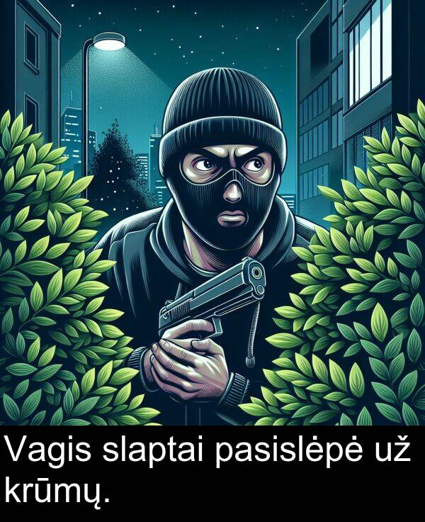krūmų: Vagis slaptai pasislėpė už krūmų.