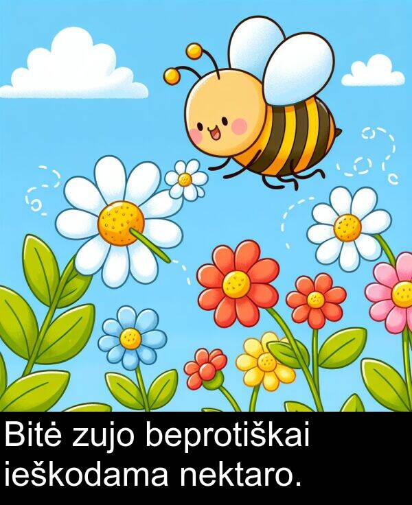 ieškodama: Bitė zujo beprotiškai ieškodama nektaro.