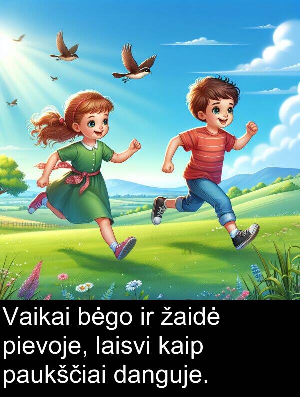 žaidė: Vaikai bėgo ir žaidė pievoje, laisvi kaip paukščiai danguje.