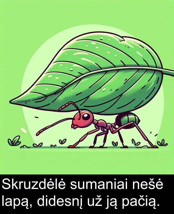 pačią: Skruzdėlė sumaniai nešė lapą, didesnį už ją pačią.