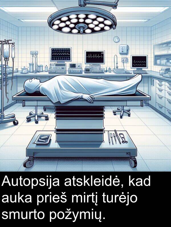 turėjo: Autopsija atskleidė, kad auka prieš mirtį turėjo smurto požymių.