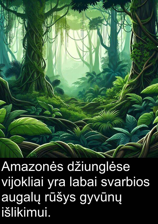 rūšys: Amazonės džiunglėse vijokliai yra labai svarbios augalų rūšys gyvūnų išlikimui.