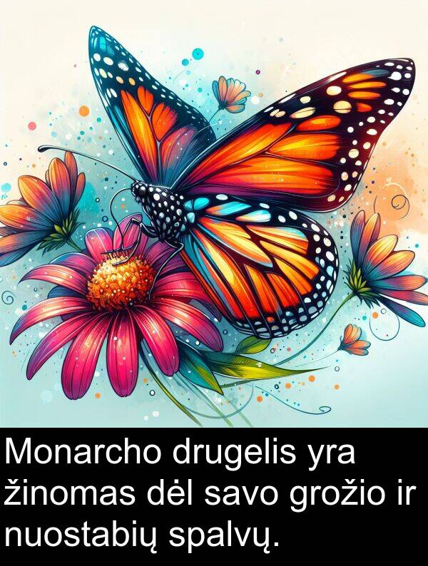 drugelis: Monarcho drugelis yra žinomas dėl savo grožio ir nuostabių spalvų.