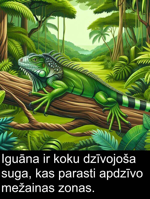 koku: Iguāna ir koku dzīvojoša suga, kas parasti apdzīvo mežainas zonas.